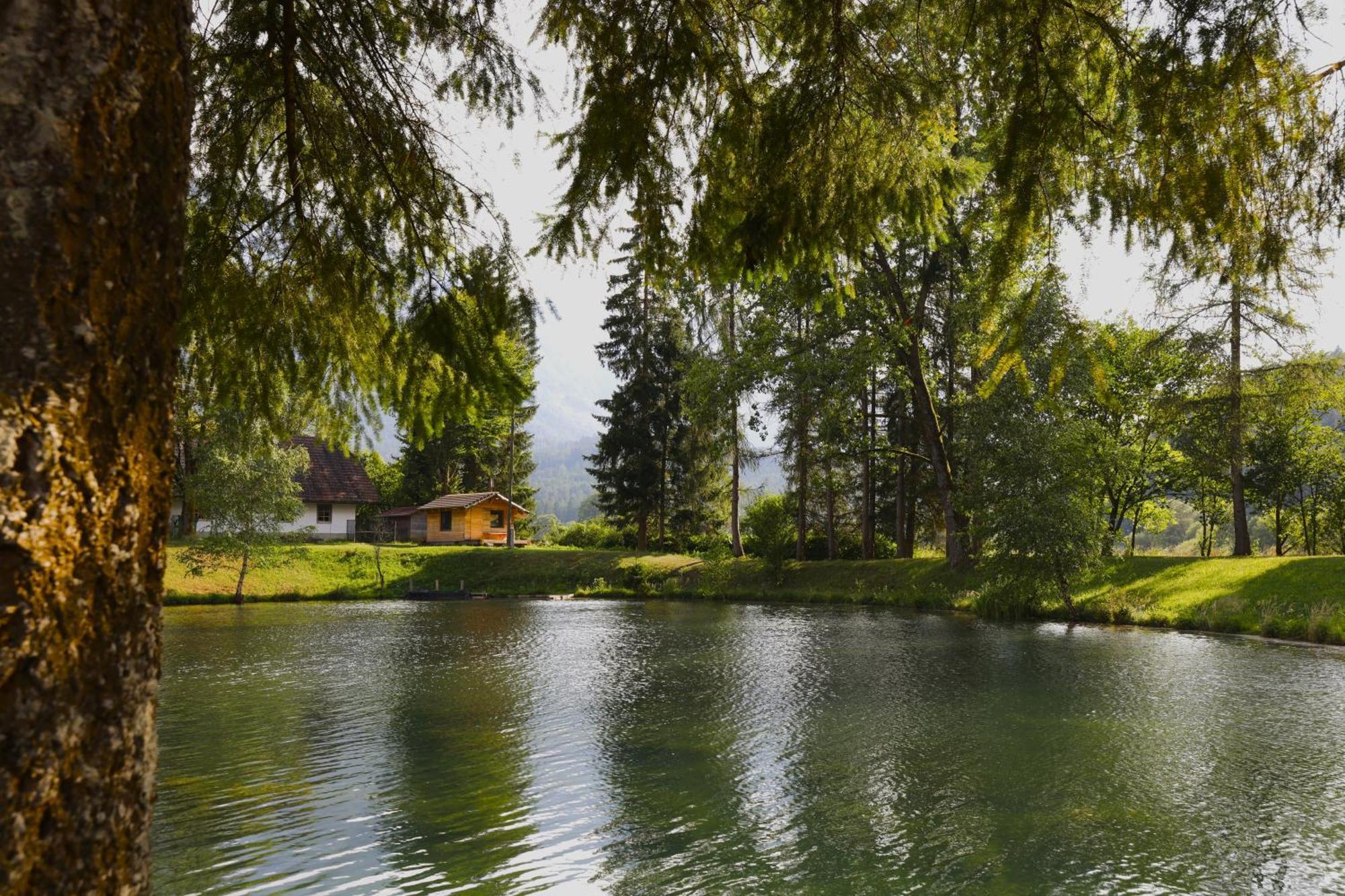 דירות Feistritz ob Bleiburg Haus Am Fischteich מראה חיצוני תמונה