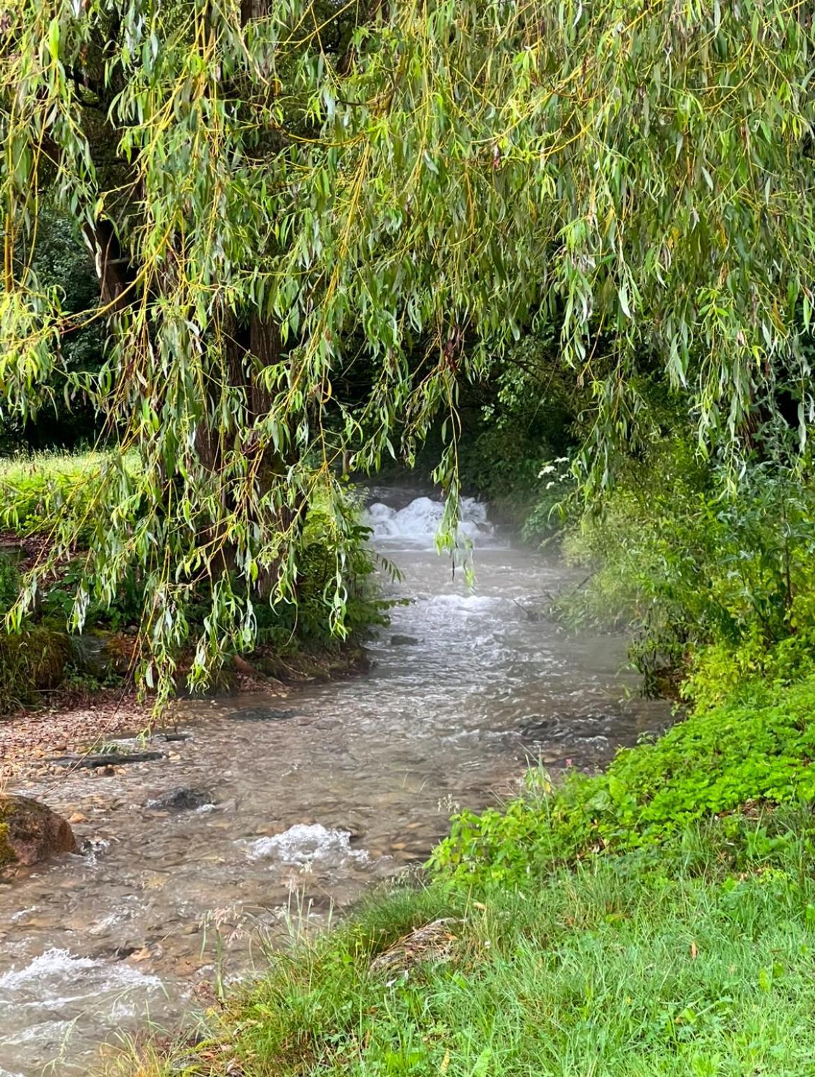 דירות Feistritz ob Bleiburg Haus Am Fischteich מראה חיצוני תמונה